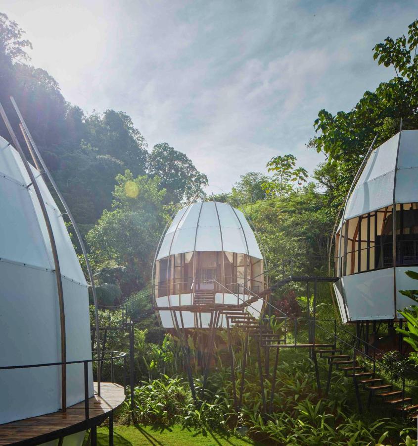 Art Villas Costa Rica, Villas & Glamping Uvita Exterior foto